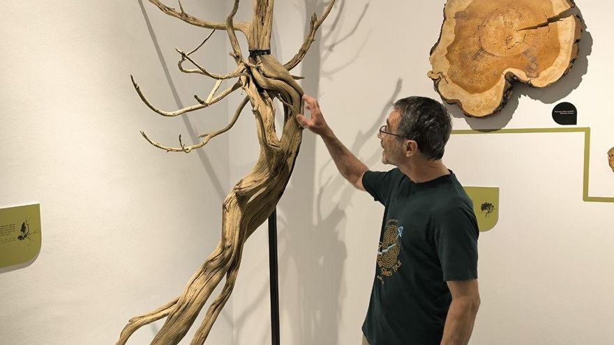 Miguel Ortega, comisario de la exposición 'Arbóreo', parte de la nueva temporada de La Casa de la Ciencia de Sevilla.