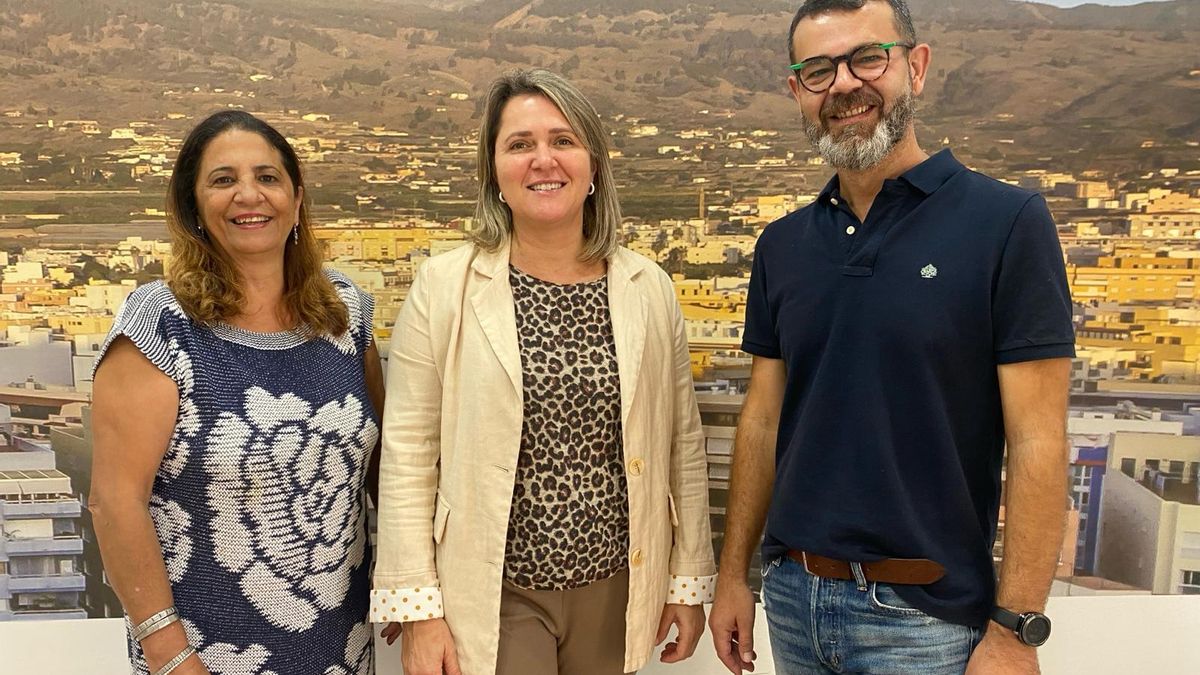 El PSOE de Los Llanos  carga contra la ordenanza de emergencia social de CC y PP: "Es restrictiva, desconfía de las personas y se aleja de la legalidad"