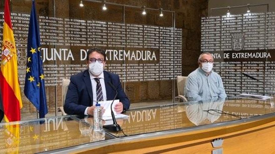 El consejero de Sanidad, José María Vergeles, en rueda de prensa en Mérida