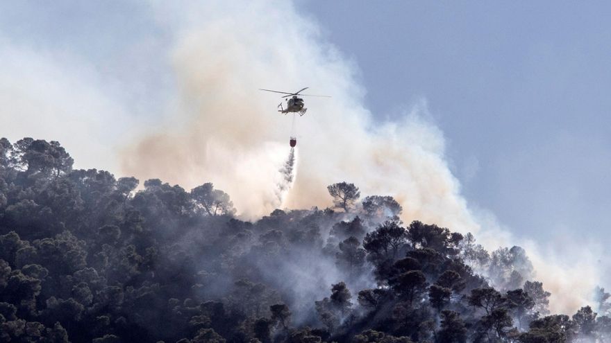 El incendio en Villena (Alicante) ha afectado a unas 56 hectáreas y evoluciona bien