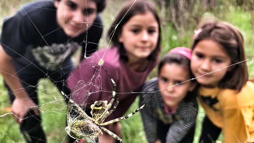 Clases de Ciencias Naturales en vivo y en directo
