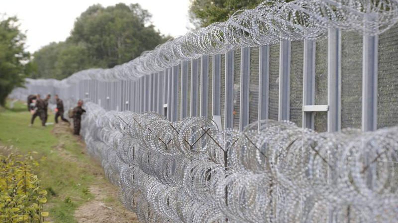 Un grupo de investigadores avisa de que las vallas fronterizas contra  inmigrantes afectan también a la fauna