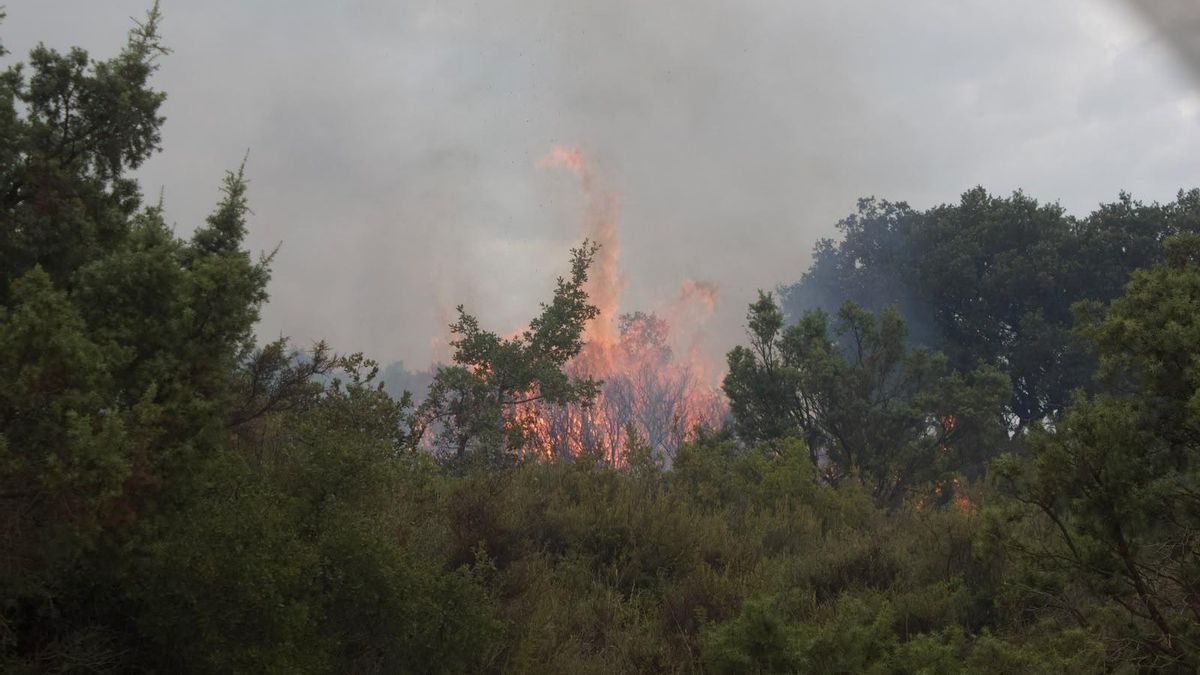 Llamas en el incendio en las Cinco Villas