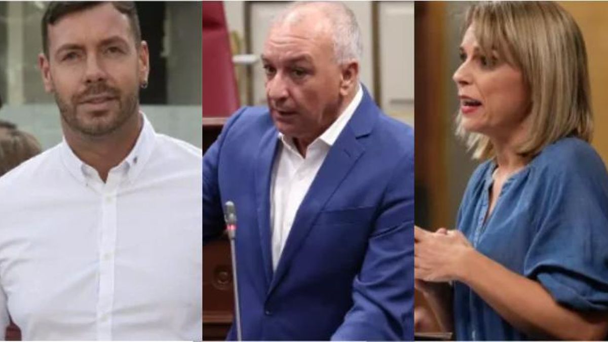 Seis partidos de izquierda abogan por una Canarias que decida "sin tutelas" su modelo con unidad: "Estamos a tiempo"