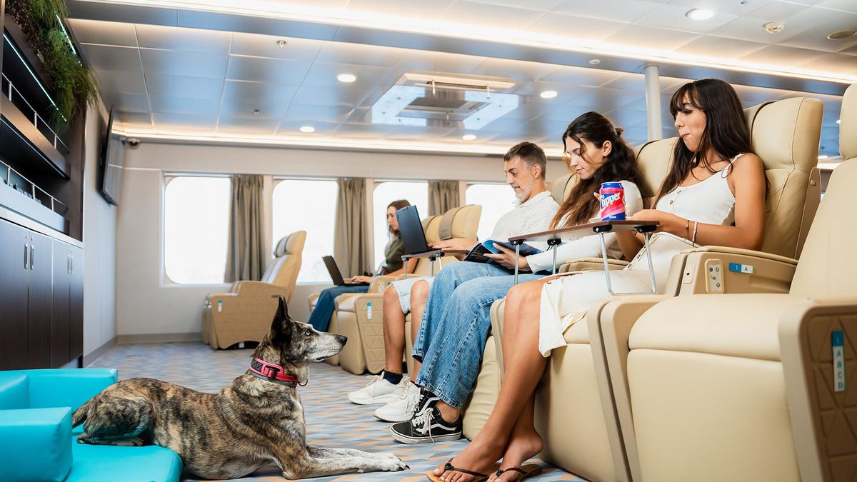 Baleària Canarias celebra su Pet Week con un concurso en redes sociales y experiencias y obsequios a bordo