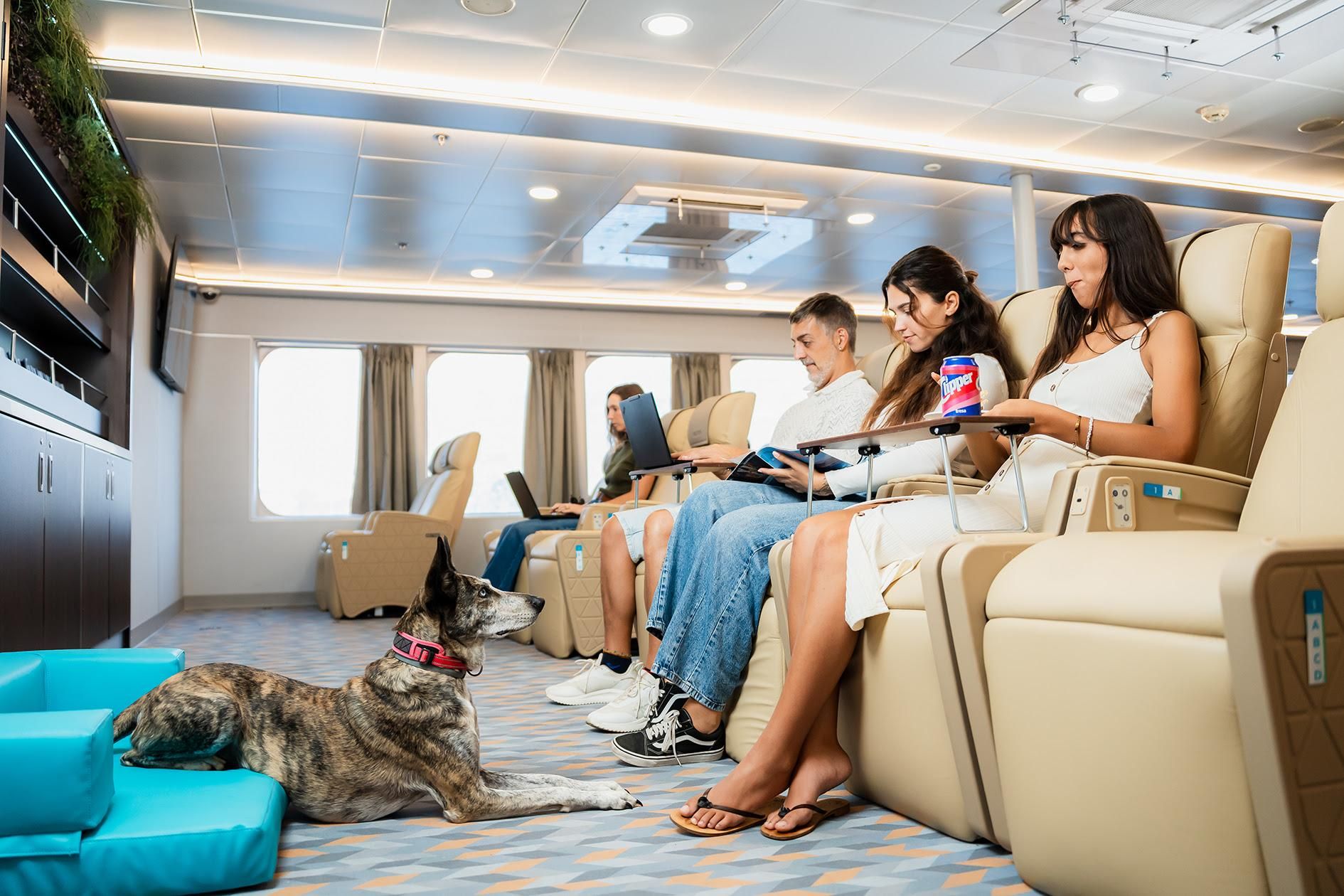 Baleària Canarias celebra su Pet Week con un concurso en redes sociales y experiencias y obsequios a bordo.