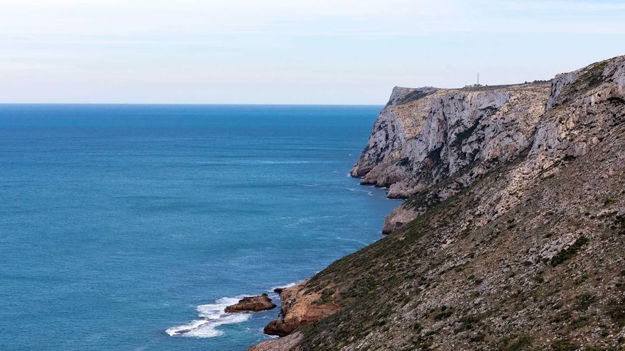 La reserva marina de la Comunitat Valenciana donde se pueden avistar delfines en libertad
