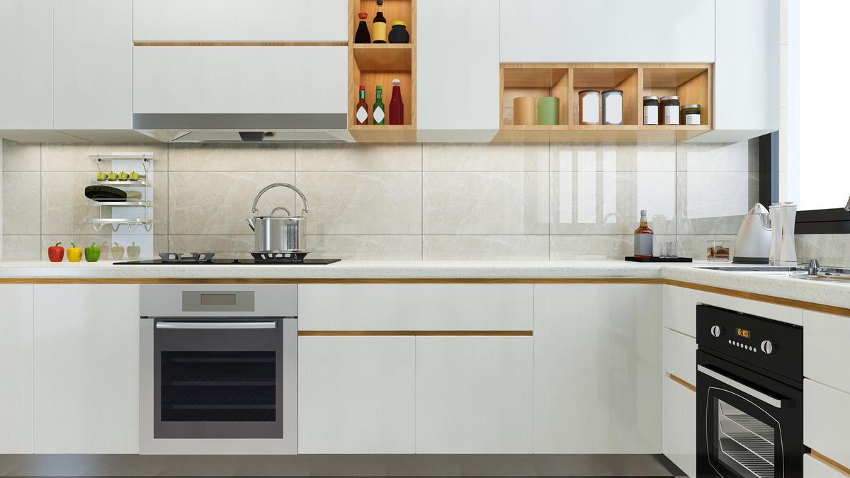  Lo que buscan es simple: alimento, agua y refugio