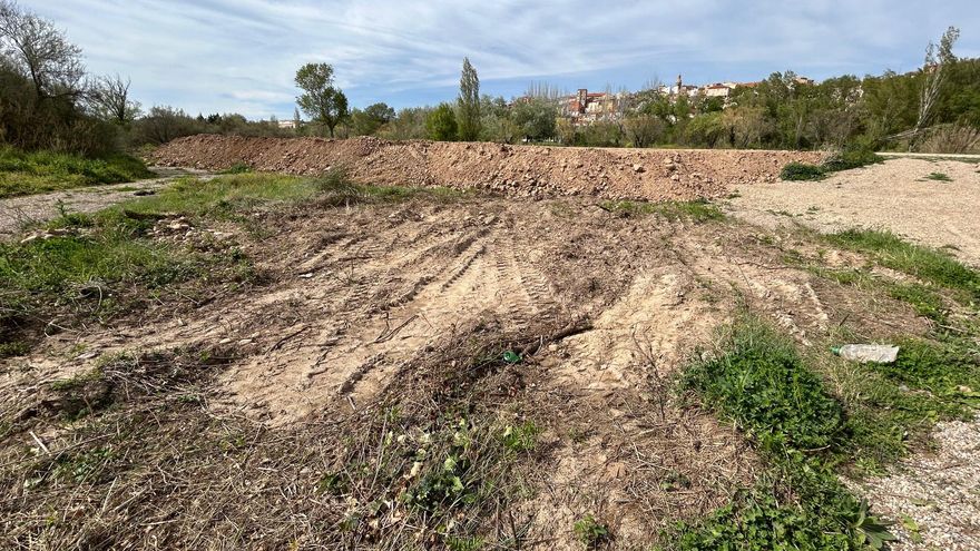 Talan más de 200 árboles y arrasan una superficie superior  a los 4.000 m2 "para duplicar el espacio de conciertos de un festival en Calahorra"