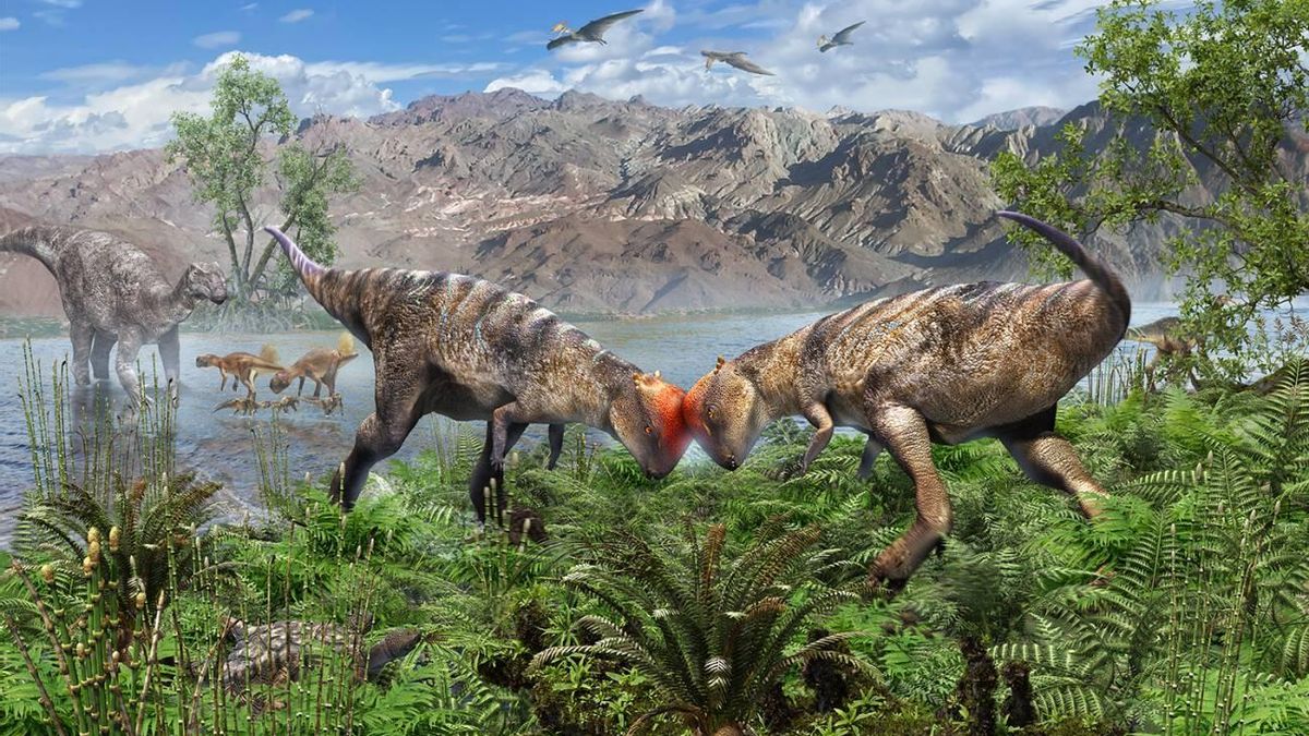 Descubren en Mongolia una nueva especie de paquicefalosaurio: un ‘adolescente’ con cabeza abovedada