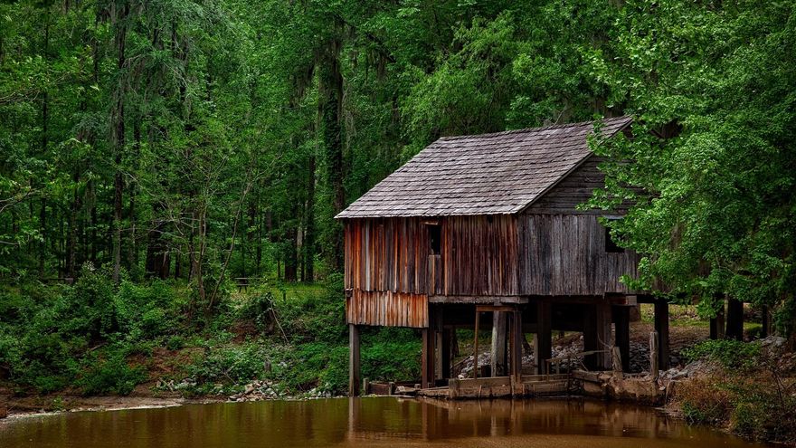 Diferentes opciones de cabañas para pasar la noche en la naturaleza.
