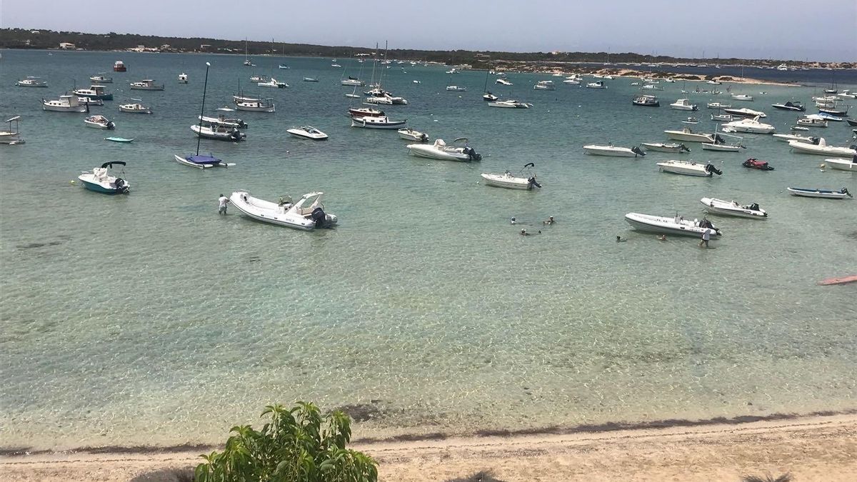 L'àrea natural, plena de barques amarrades a les boies ecològiques disposades a l'aigua