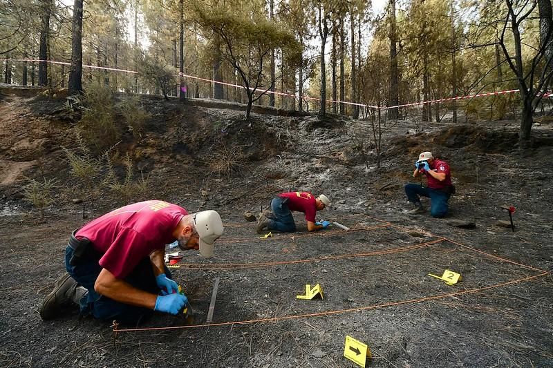 Agentes de Medio Ambiente del Cabildo de Gran Canaria que conforman el equipo de investigación del incendio de Valleseco