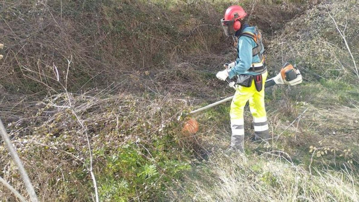 Curso Práctico de Poda, Desbroce y Cuidados de Frutales para la Prevención de Incendios y el Desarrollo Rural organizado por Naturgeis. 