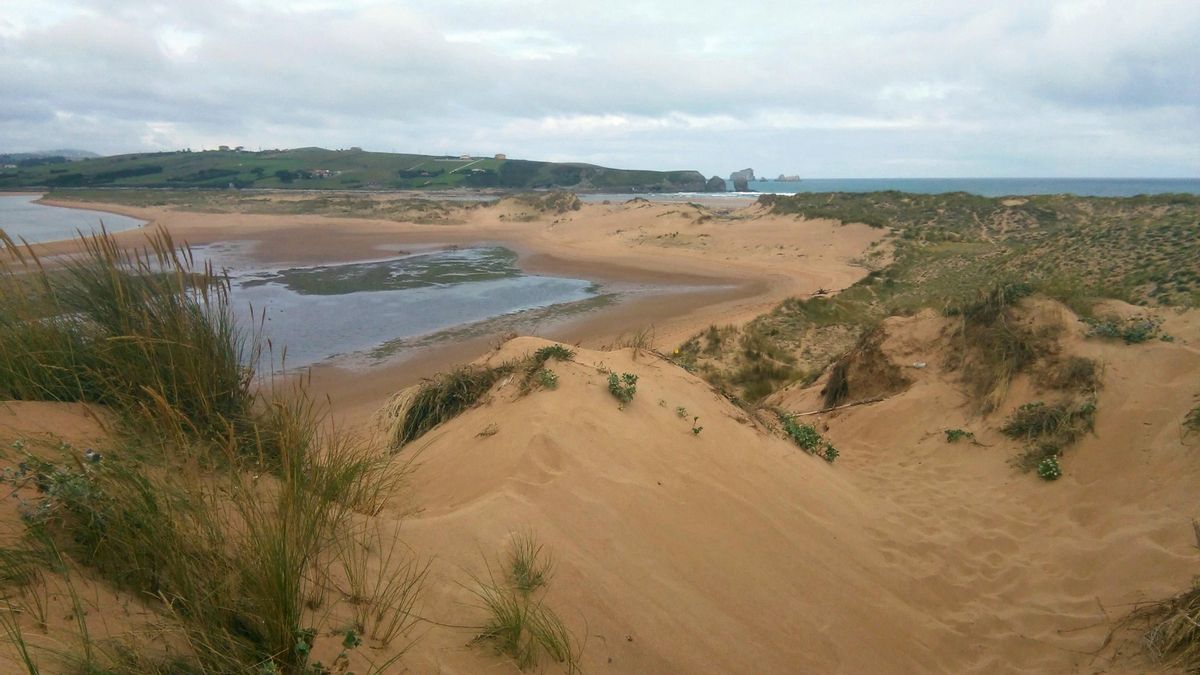 Parque Natural de las Dunas de Liencres.