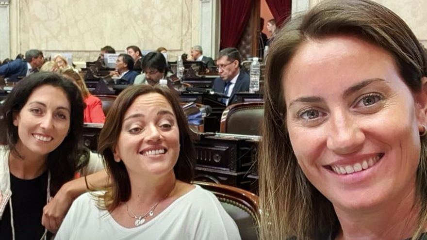 Juicio a la Corte: una diputada de Massa pidió que la reemplacen en la comisión