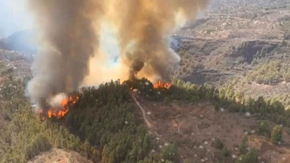 Imagen del incendio de Tijarafe.