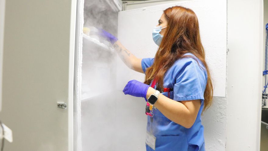 El banco que busca cerebros y no dinero: donar estos tejidos puede ayudar a muchas personas