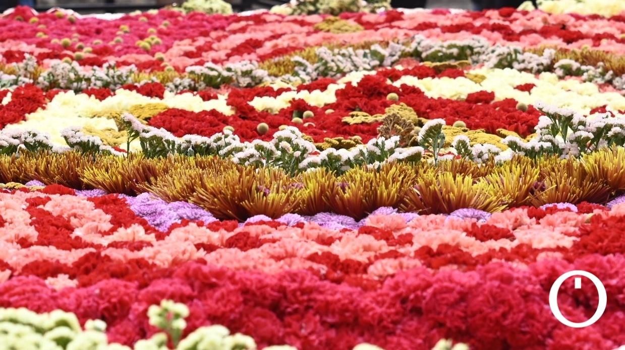 Flora 2023 - Harriet Parry