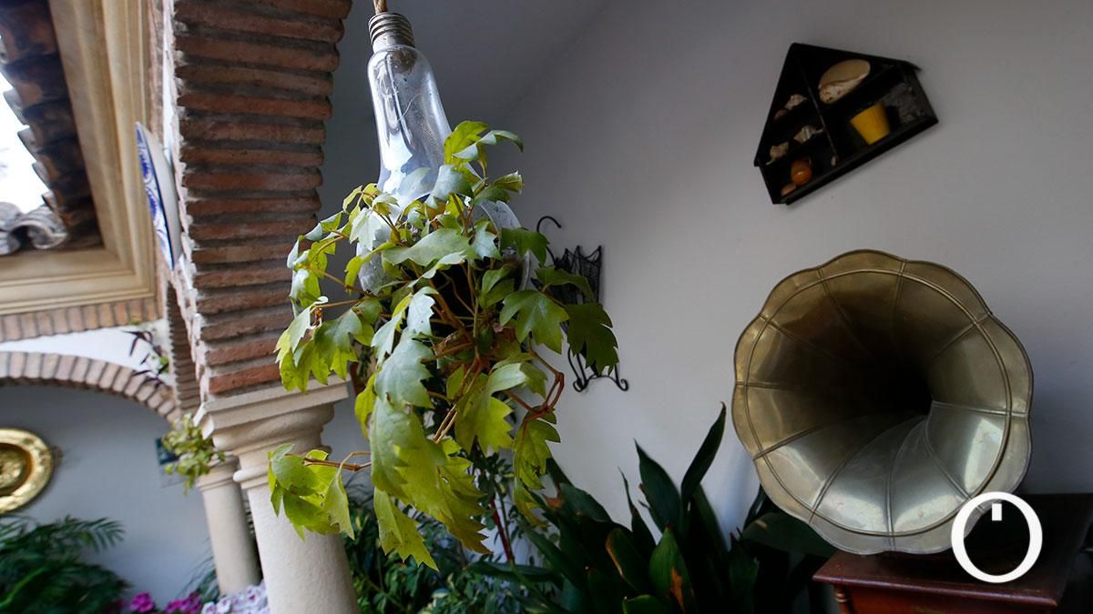 Patio Zarco, 15 - 2022