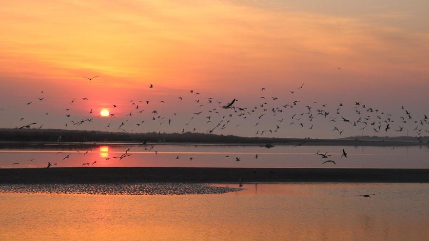 En 2020 se perdieron 350.000 hectáreas de humedales y el proyecto de ley para su protección sigue frenado