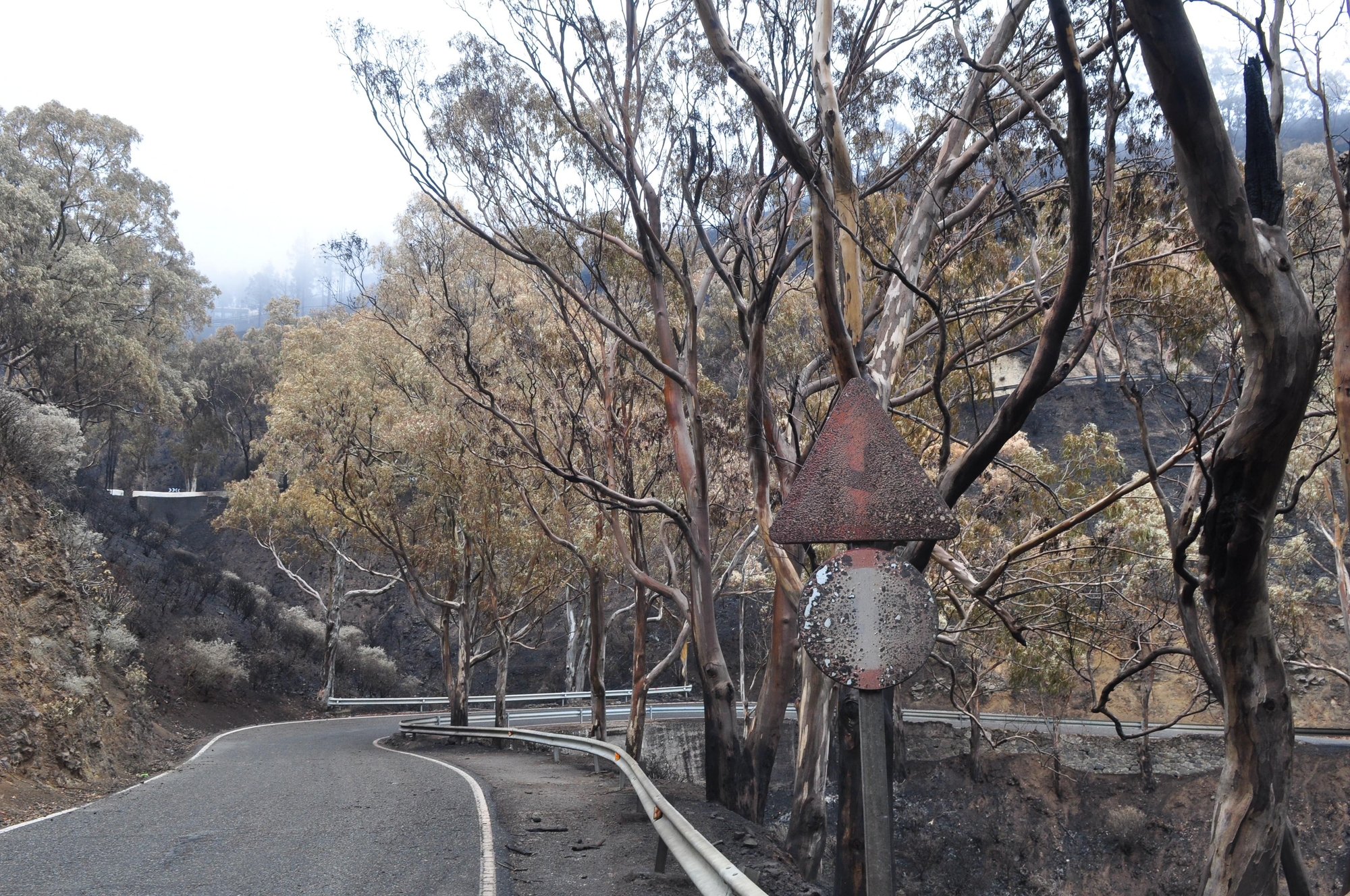 Efectos del incendio en la Cruz de Tejeda. (ÁNGEL SARMIENTO)