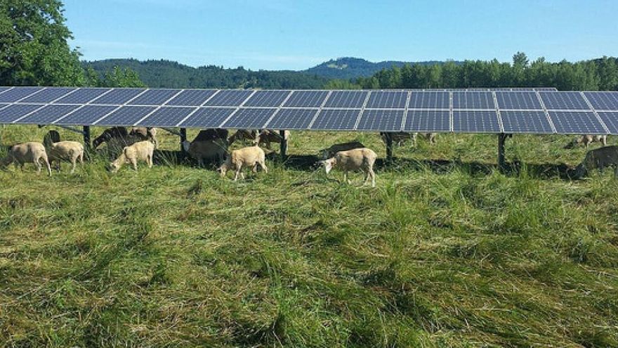 Qué es la energía agrovoltaica y por qué podría salvar el mundo