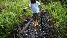 Los daños por los que la petrolera estadounidense Chevron no ha indemnizado a sus víctimas en Ecuador