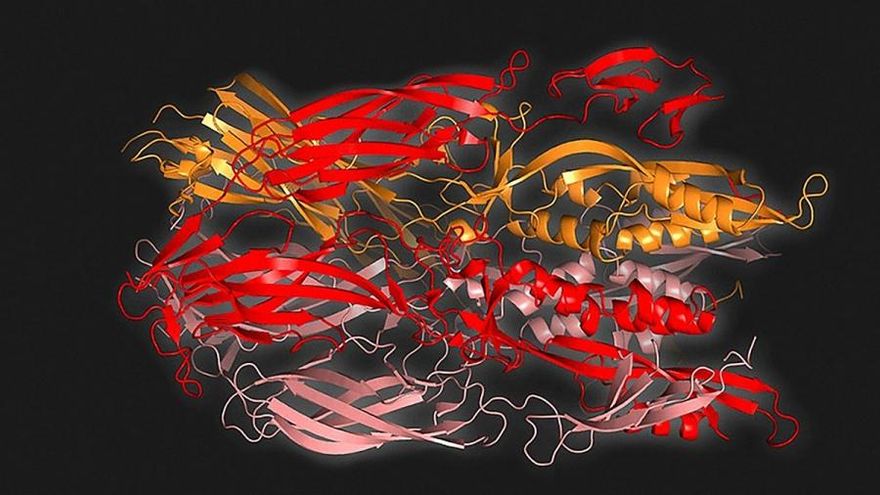 Científicos argentinos estudian el posible origen del sexo en la Tierra