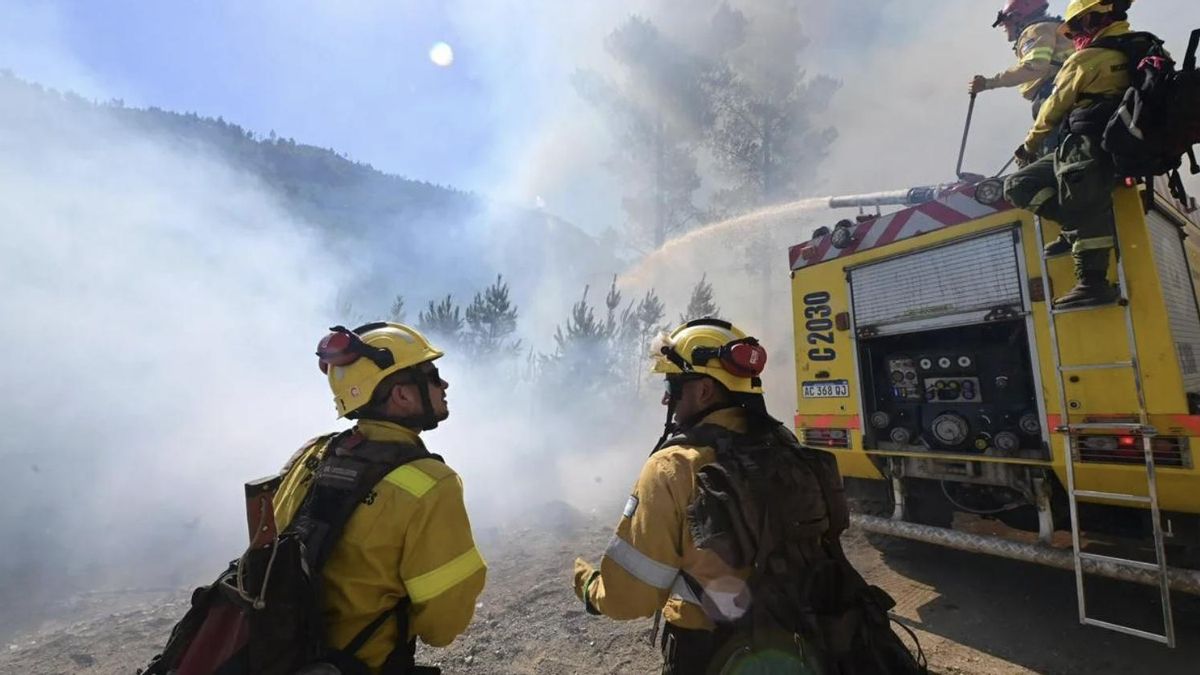 Más de 500 efectivos trabajan para contener los incendios que amenazan ecosistemas clave. Foto: Agencia NA/Redes.