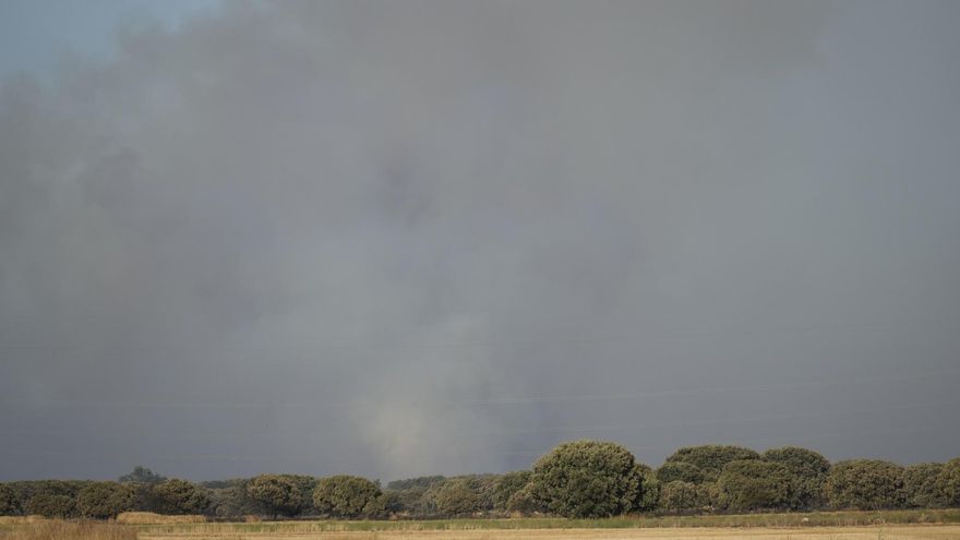 Estabilizado el incendio de Paredes de Monte (Palencia) tras quemar unas 400 hectáreas