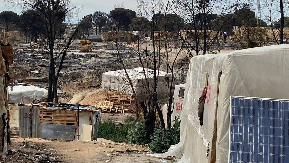 Parte de la zona arrasada por el fuego