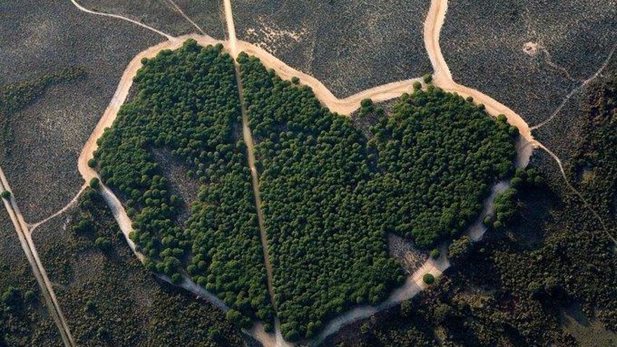 La "Revolución Verde" de la Junta de Andalucía necesita "cambios estructurales"