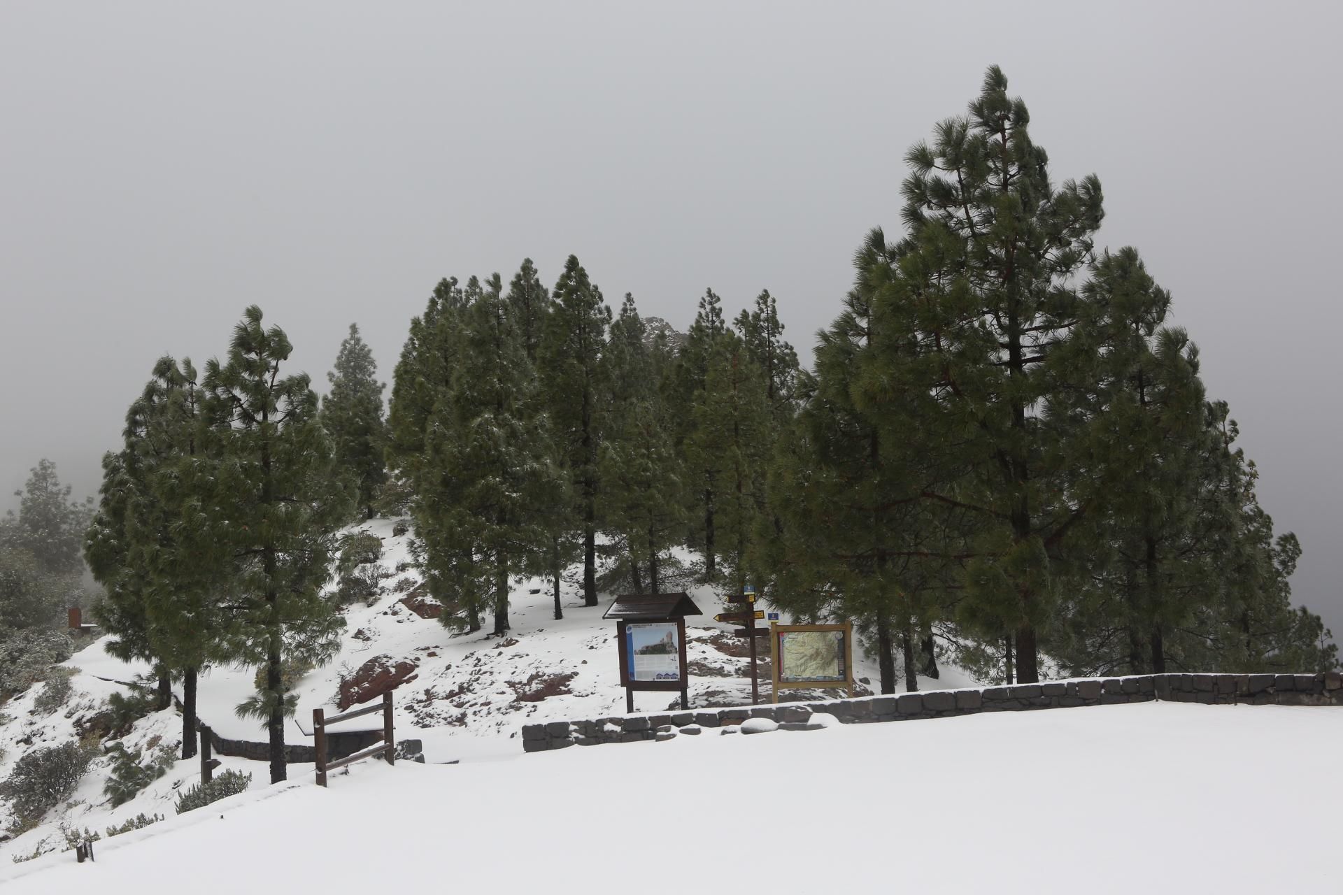 Nieve en el Roque Nublo (ALEJANDRO RAMOS)