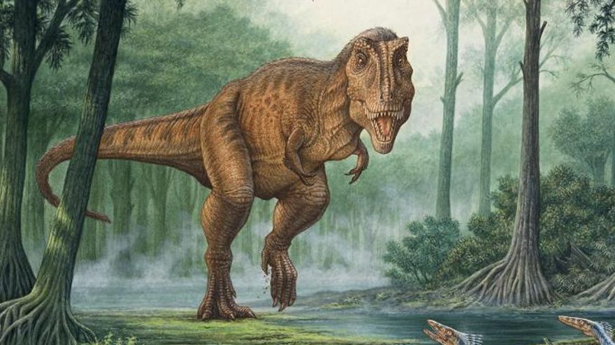 El T-Rex no pisaba plano, corría sobre los dedos y esa forma de moverse disparaba su capacidad para alcanzar grandes velocidades