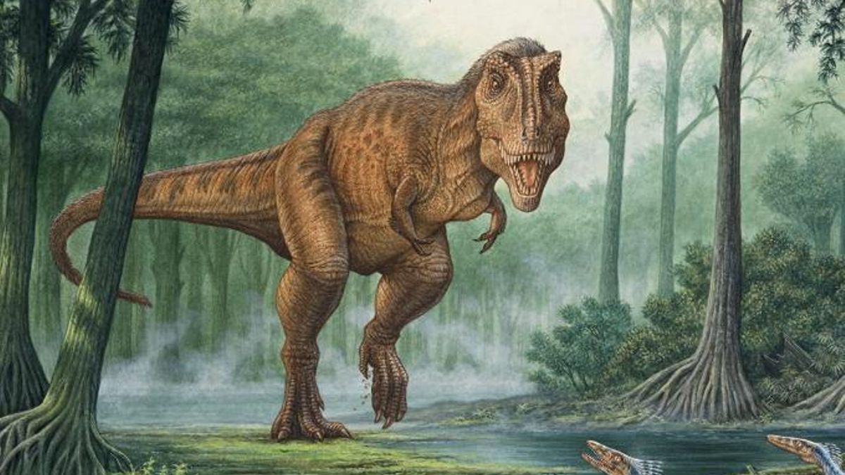 El T-Rex no pisaba plano, corría sobre los dedos y esa forma de moverse disparaba su capacidad para alcanzar grandes velocidades