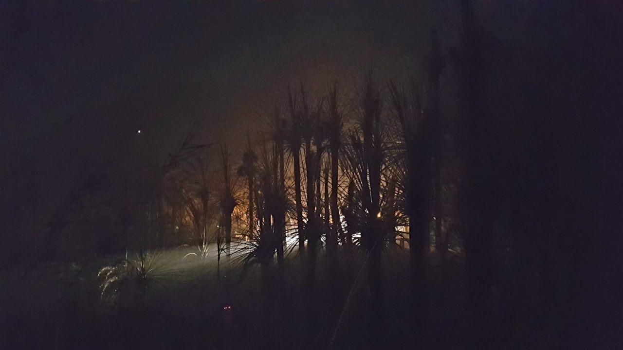 El fuego calcina 35 hectáreas de palmeral en Fataga