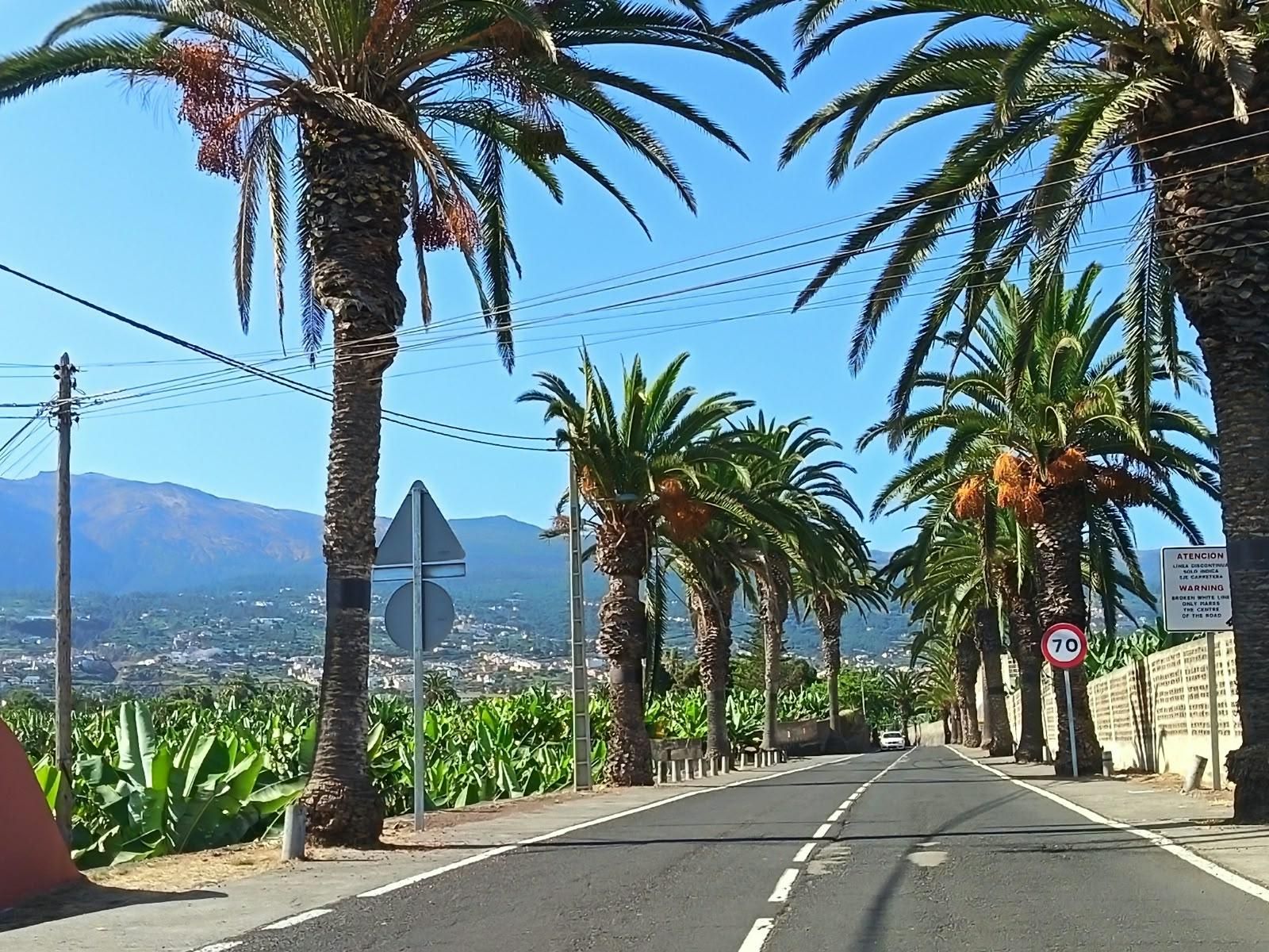 Tramo con palmeras y parte del Valle orotavense y la cordillera de la dorsal al fondo.