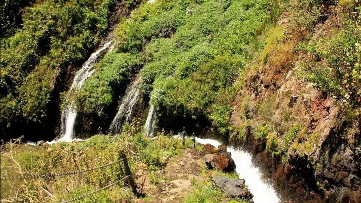 Un estudio de la Universidad de La Laguna plantea soluciones “con cierres hidráulicos” para proteger las aguas subterráneas de La Palma