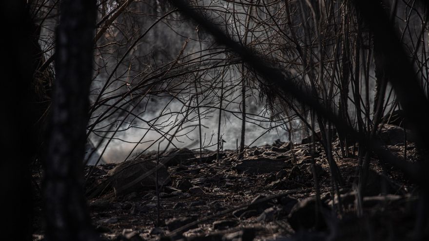 Los restos humeantes tras el paso de las llamas en Los Realejos