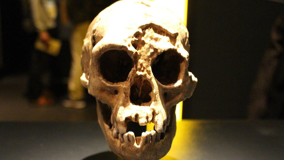El clima extremo que acabó con los ‘hobbits’ de Indonesia: un nuevo estudio reconstruye su desaparición hace 50.000 años