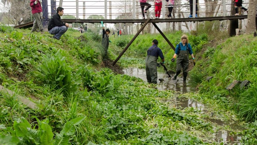 Guardianes silenciosos del planeta, historias de pequeñas iniciativas que ayudan a mejorar el día a día