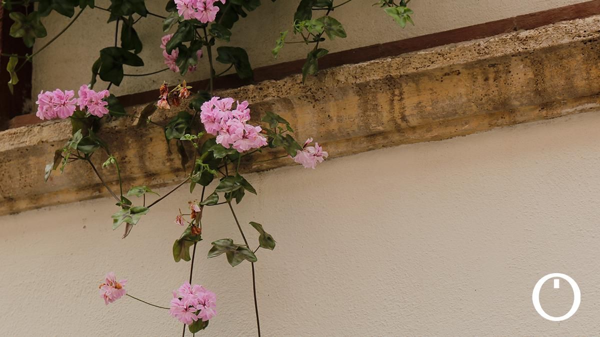 Rejas y Balcones en la C/ Maese Luis, 22