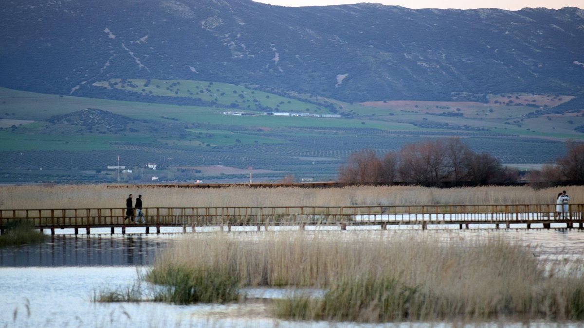 Las Tablas de Daimiel, a 15 de marzo de 2026