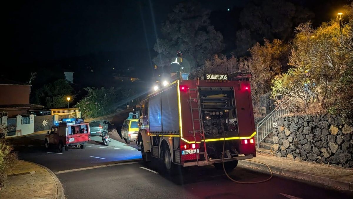 Bomberos La Palma en la zona de Finca Amado (Breña Baja) donde, en la madrugada de este domingo, se registró un conato en pastos y rastrojos.