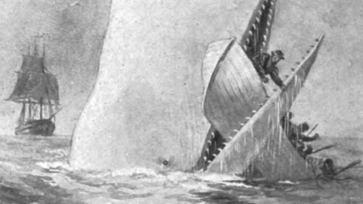 Moby Dick golpeó el navío y lo dejó sin salida