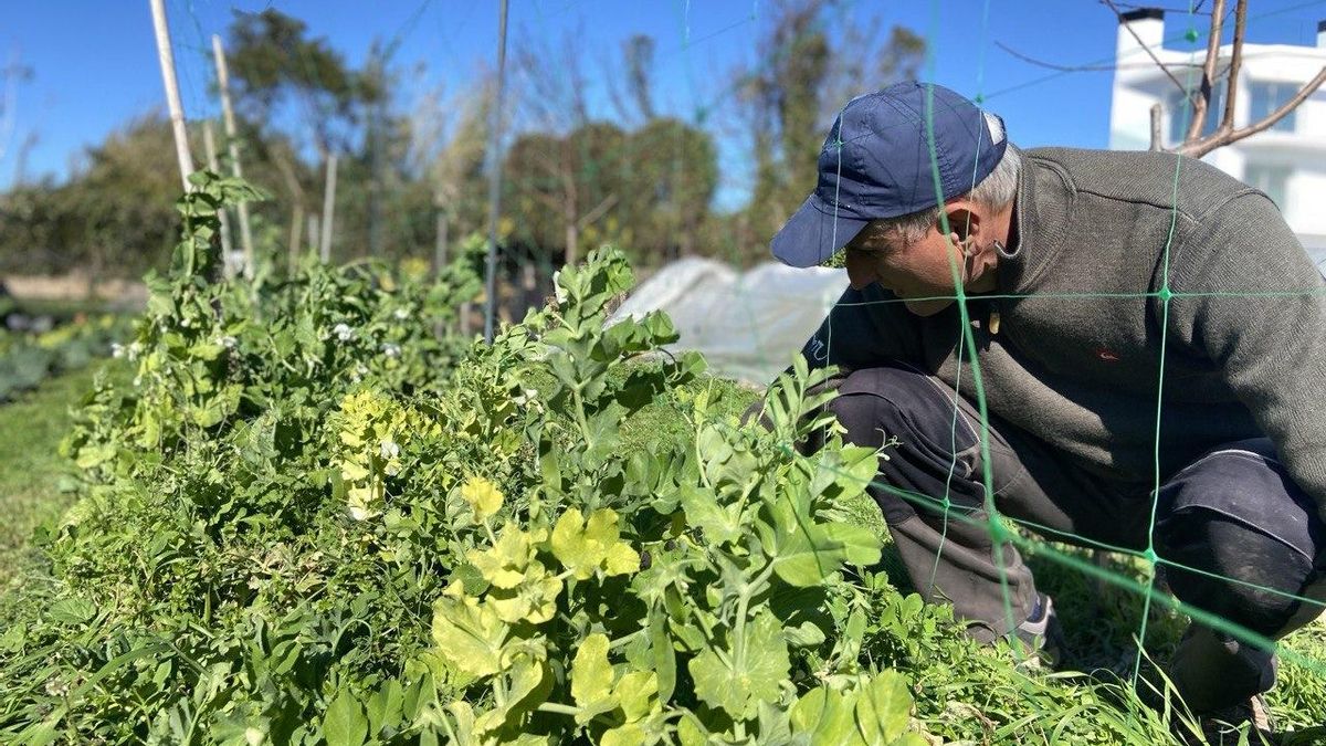Agricultor trabajando en un huerto en Ibiza, donde la gestión del suelo y la diversidad de cultivos son clave para reducir la dependencia de insumos externos