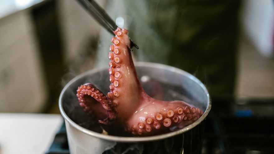 Tres consejos sencillos para limpiar y preparar el pulpo antes de cocinarlo