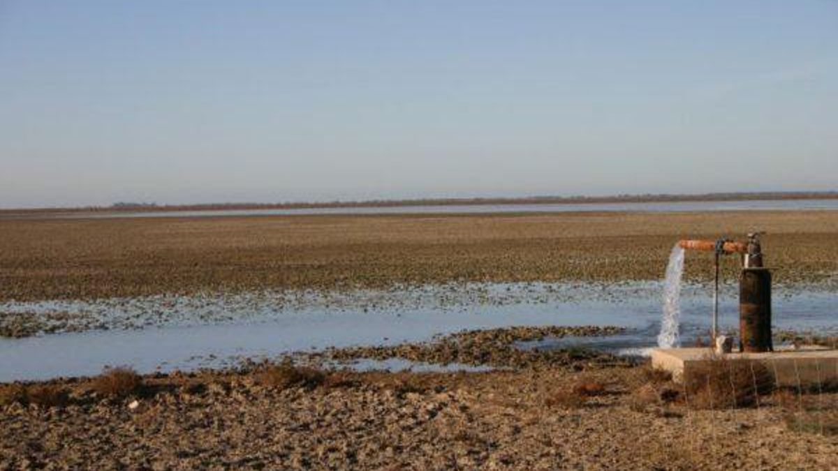 Marisma de Doñana desecada en diciembre / Carlos Dávila.