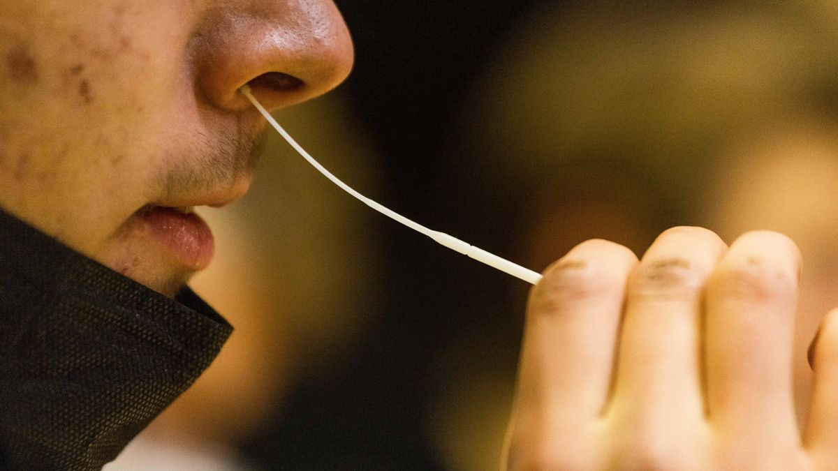 Un joven se realiza un test para detectar si tiene el coronavirus.